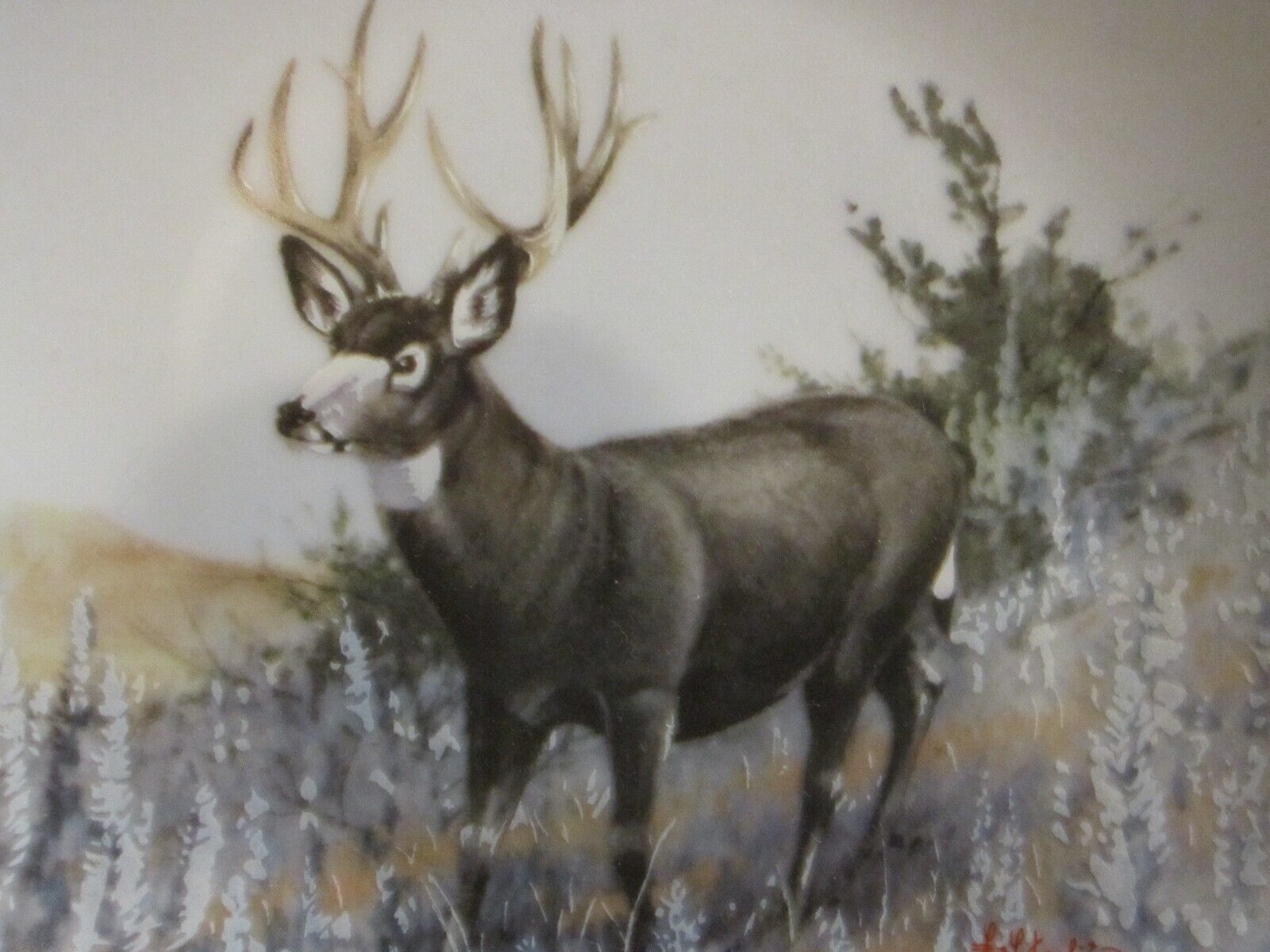 Mule Deer Collector Plate Les Kouba Powder River Muley Rare Sportsman S