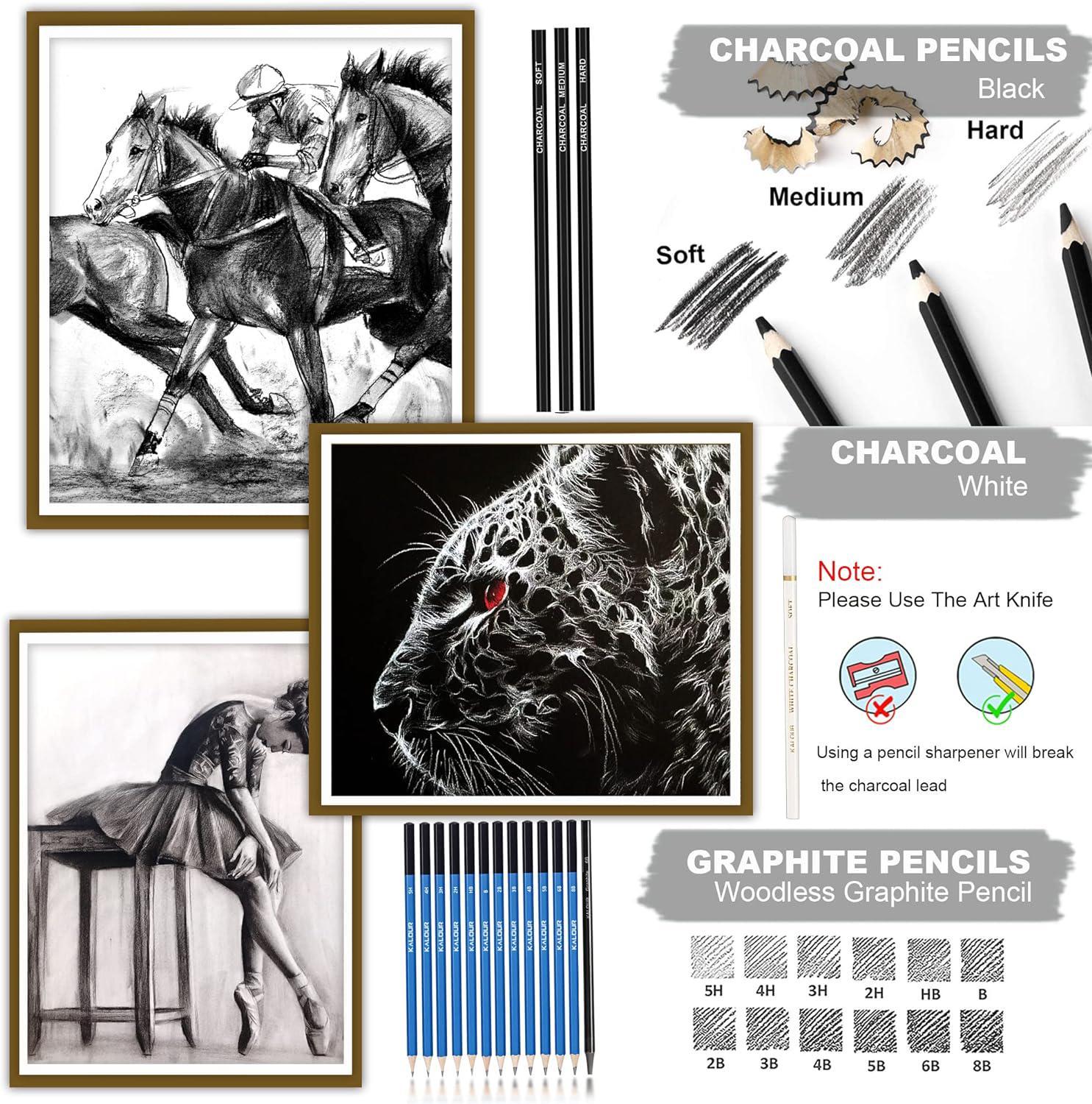 KALOUR White Charcoal Pencils Drawing Set, Professional 6 Pieces White Sketch Pencils for Drawing, Sketching, Shading, Blending, White Chalk Pencils