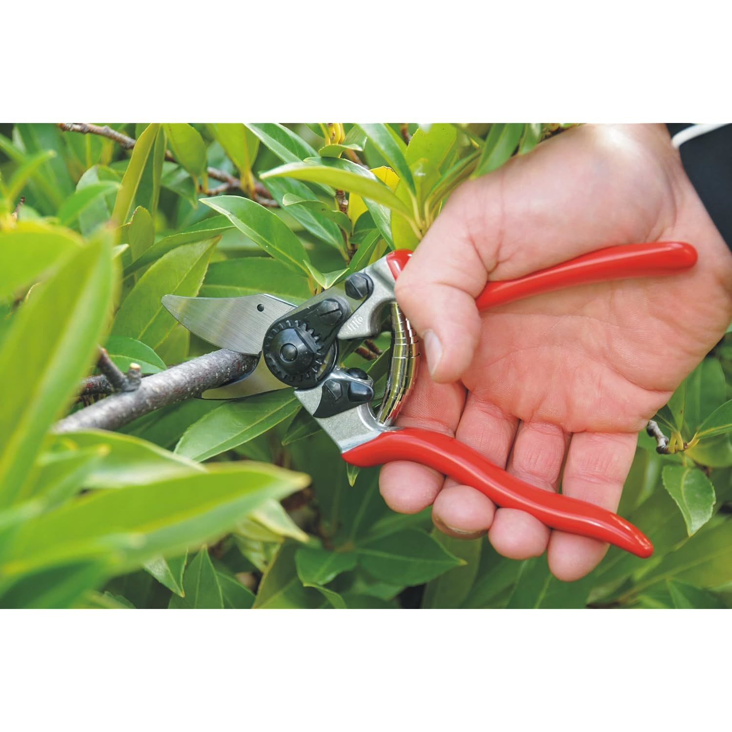 Garden Pruning Shears 2 Pack, 8 Bypass Pruning Shears And 6.25