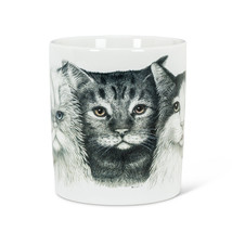Cat Jumbo Mugs Set of 4 Coffee Tea Ceramic 16 oz 3 Kitten Faces Grey Black  