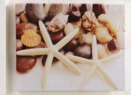 Starfish Shells Stretched Canvas Print Framed Nautical Indoor Outdoor 20" x 16"
