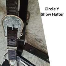 Circle Y Silver Show Halter Horse Size Dark Oil USED image 3