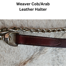 Weaver Cob - Arab Leather Halter Brass Fittings med oil with chain lead USED image 6