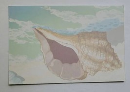 Postcard Alexis J Hallmark Seashell Watercolor Artwork 4x6 Inch - $9.59