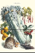 Vegetables; Celery, Bell Peppers, Strawberries, and Legumes by Philippe-... - $21.99+