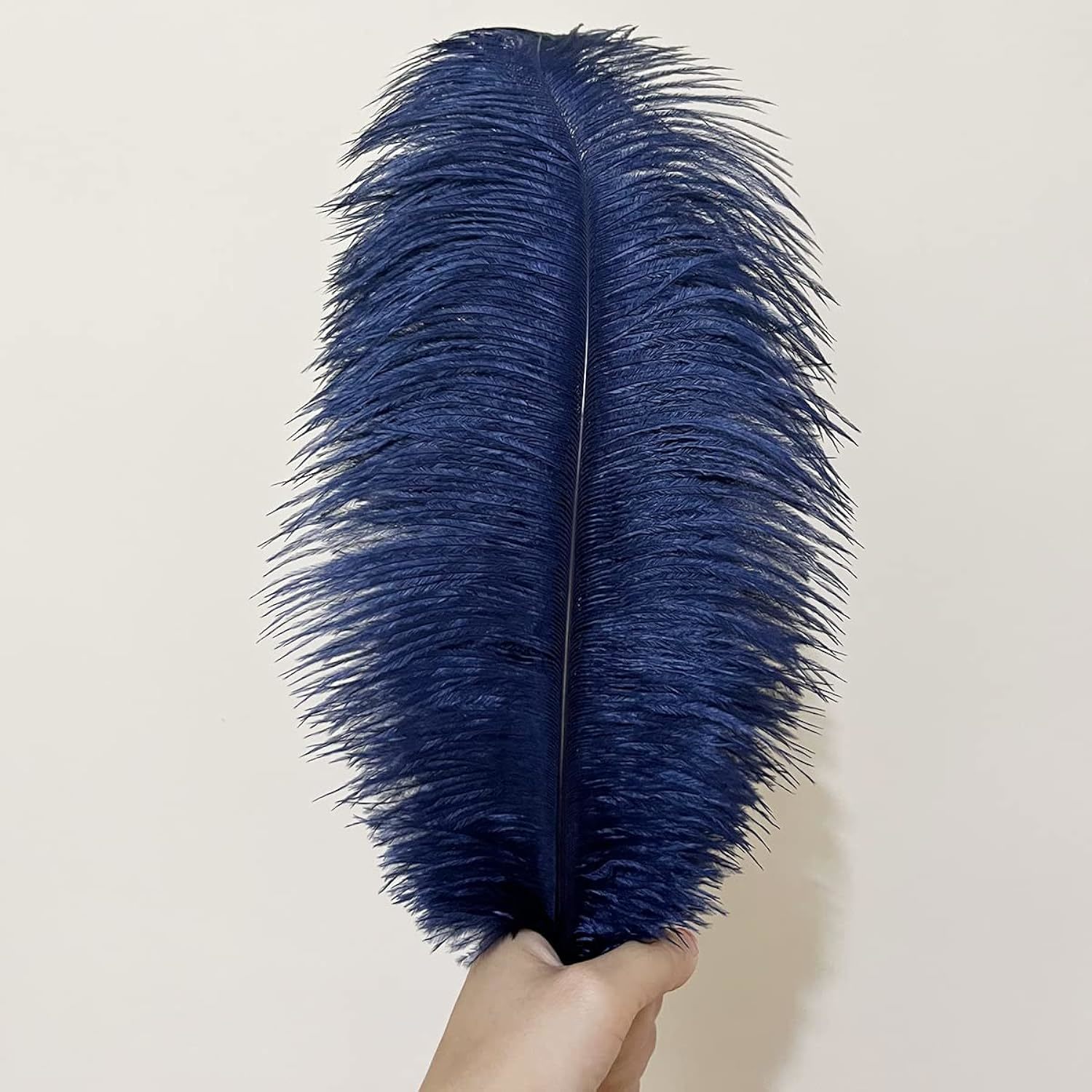 Ostrich Feathers - 16-18 Tail Feathers - Rainbow