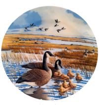 The Family - Canadian Geese Collector Plate Bradford Exchange 1987 Plate #134705 - $12.99