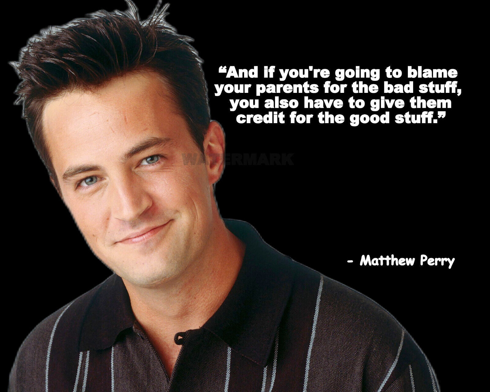 Actor Matthew Perry Quote if your going to blame your PUBLICITY PHOTO ...