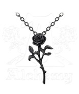 SteamPunk Victorian Alchemy Gothic The Romance of The Black Rose Pewter ... - $18.37