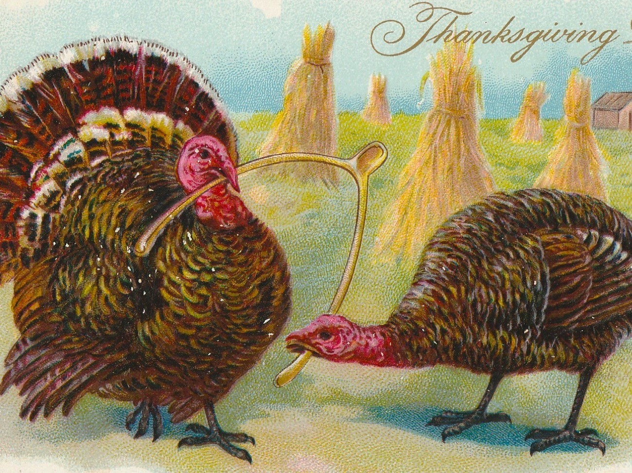 Tom & Hen Turkeys With Wishbone & Corn Shocks Antique Thanksgiving ...