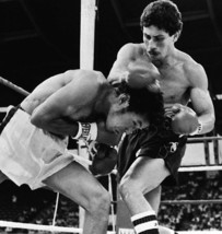 Wilfredo Gomez 8X10 Photo Boxing Picture Ring Action - $4.94