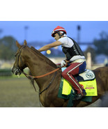 8x10 color photo - KY Derby Winner CALIFORNIA Chrome #5 - $20.00