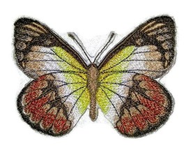BeyondVision Custom and Unique Amazing Colorful Butterflies[Scarlet Jezebel ] Em - $12.86