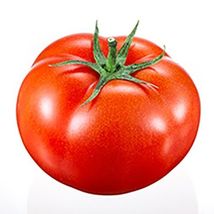 50+ Legend Tomato Hybrid Seeds Vegetable Garden Planting Tomatoe USA - $13.59