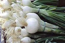 Onion, Spanish White, Heirloom, 100 Seeds, Sweet, Great for Cooking - $2.99