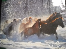 Horses In The Snow Jigsaw Puzzle Art Wolfe 1998 Over 550 Pieces Unused S... - $13.99