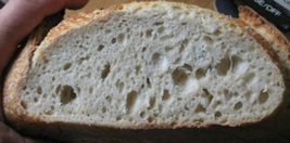 SAN FRANCISCO SOURDOUGH bread YEAST STARTER flour baking &quot;sally&quot; + recip... - $6.50