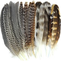 Natural Pheasant Craft Feathers - 240 Pcs 6 Style Mixed Feathers for Dream Catch