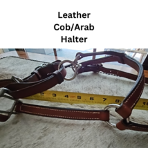 Leather Cob Arab Size Halter Stainless Hardware Doubled and Stitched USED image 5