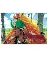 Maracatu Warrior: Vintage Brazilian Carnival Photo Postcard - $5.00