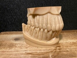 Rare 1976 H Hamaguchi  Dental Educational Upper Lower Jaw Sculpture - $51.43