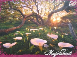 Heye Marc Adamus Calla Clearing 1000 pc Jigsaw Puzzle Fantasy Landscape  - $23.75