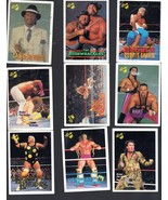 Wrestling Trading Card - (Lot of  9 Titan Sports cards -1990) - $3.50