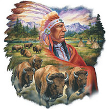 Chief & Buffalo Cross Stitch Pattern***L@@K*** - $2.95