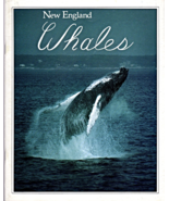 New England Whales By Howard Garrett &amp; Candice Keays 1993 - $10.00