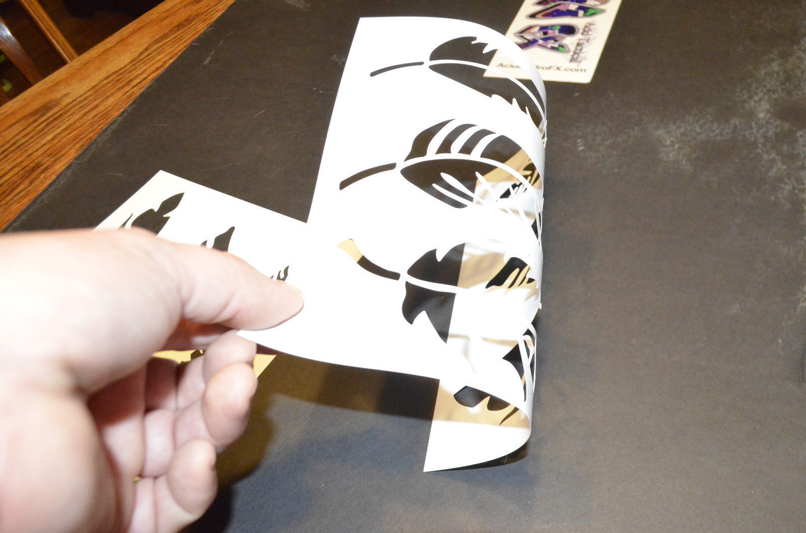 10 Pack! Vinyl Airbrush Stencils Bird Feathers 10 Mil Spray paint RC