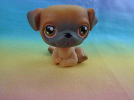 Littlest Pet Shop Dog Pug Puppy Brown Caramel with Green and Red Eyes 