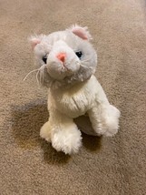 Webkinz Signature Ragdoll Cat Ganz Plush (No Code) HM871 Kitten Kitty Gray White - $51.11