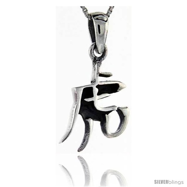 Sterling Silver Chinese Character for the Year of the TIGER Horoscope Charm, 1  - $47.18