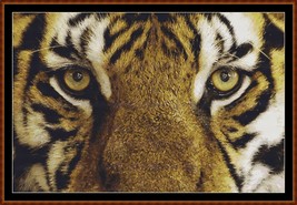 Eyes - Tiger ~~ counted cross stitch pattern PDF - $15.99