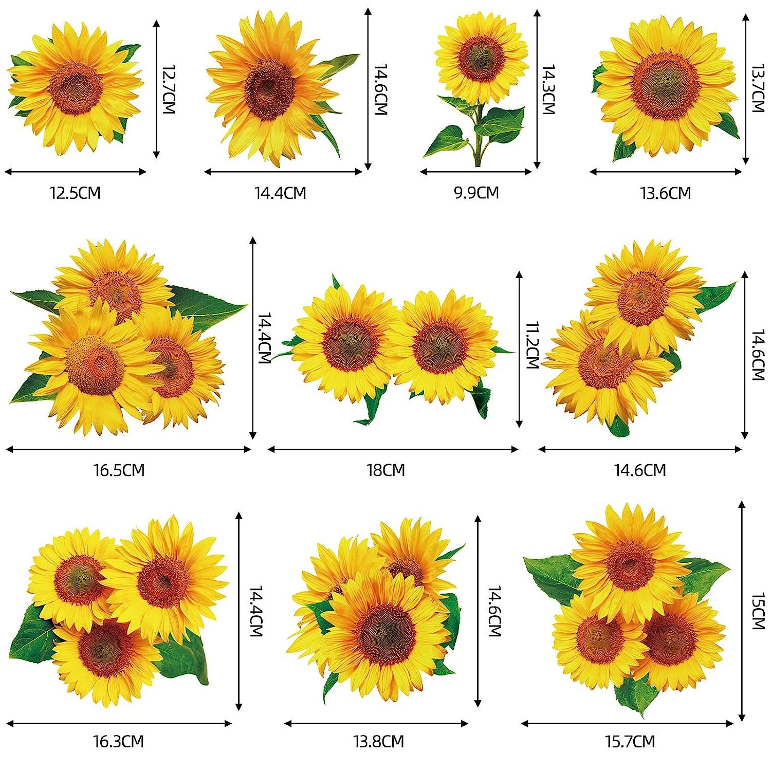 Sunflower Swirls