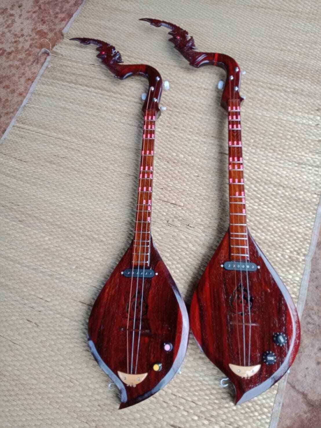 phin instrument