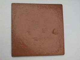 6+1 FREE 12x12 Mexican Saltillo Tile Molds Make 100s of Floor Tiles For $0.30 Ea image 1