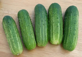 SMR 58 Cucumber Hybrid Cukes Planting Vegetable Garden Pickling 25 Seeds  - $11.05