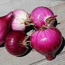 Onion, Red Burgundy, Red Sweet Heirloom, 100+ Seeds, Great in Salads&amp; Co... - $2.99