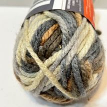 Bernat Softee Chunky Yarn, 3.5 Oz, Gauge 6 Super Bulky, Black