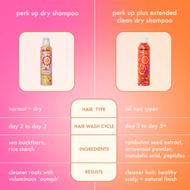 Amika Perk Up Plus Extended Clean Dry Shampoo image 6