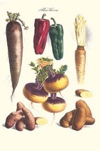 Vegetables; Bell peppers, turnips, potato, bok choy &amp; tubers by Philippe... - $21.99+