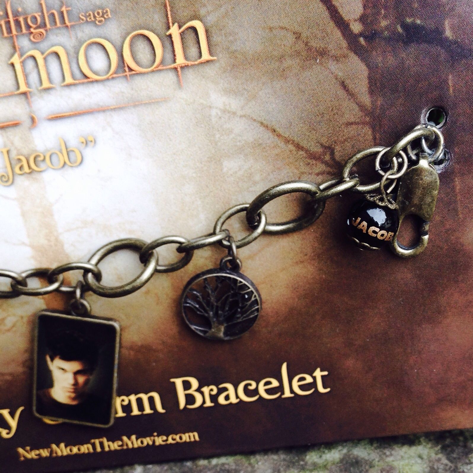 Twilight Saga New Moon Keychain Metal & Enamel (Team Jacob)