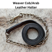 Weaver Cob - Arab Leather Halter Brass Fittings med oil with chain lead USED image 4