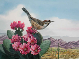 Bird Cactus Wren Cross Stitch Pattern***L@@K*** - $2.95