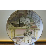 Royal Worcester Collector Plate - &quot;Two Against One&quot;, Kittens &amp; Puppy - 1989 - $12.99