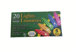 20 Count Mini Lights Clear or Multicolor String for Christmas Decoration - $6.99