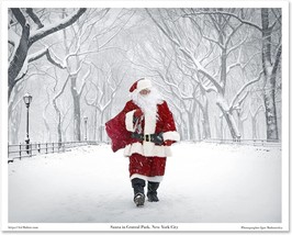 Santa In Central Park, New York City 16X20 Inch Art Photo Print Poster Unframed - $34.99