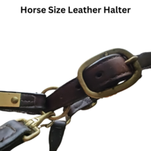 Leather Horse Size Halter Midnite High Brass Plate USED image 4