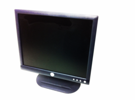 Dell  E173FPc monitor with funky LCD screen - $24.00